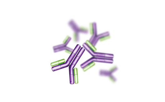 兔抗人IgG-Rabbit Anti-human IgG antibody