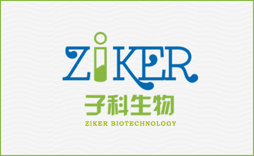小鼠還原型谷胱甘肽（GSH）ELISA試劑盒