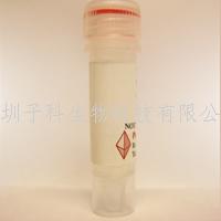 PeproTech重組人Prolactin/100-07
