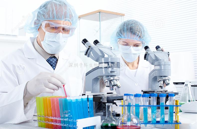 Nature子刊：DNA 6mA調(diào)控線粒體脅迫適應(yīng)性的跨代遺傳
