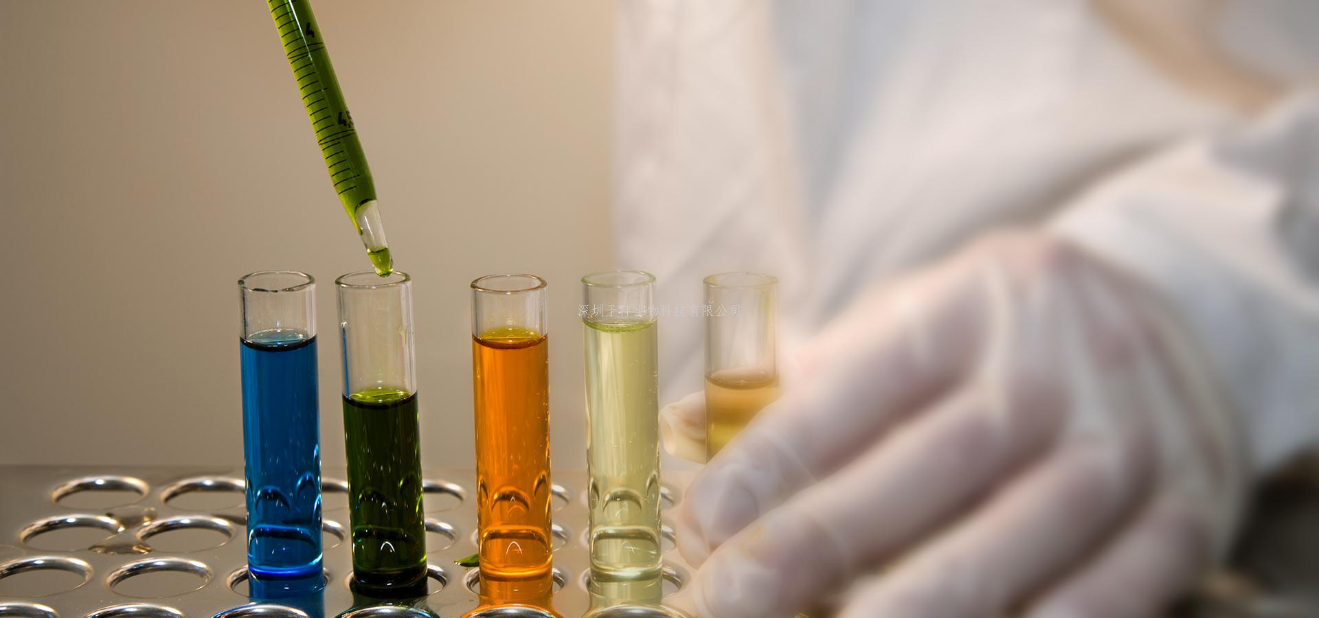 天津醫(yī)科大學Cell Death Differ：長鏈非編碼RNA調節(jié)骨髓基質干細胞骨向分化