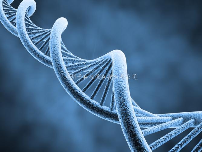 Science子刊：基因編輯視網膜感光細胞治療遺傳性致盲疾病