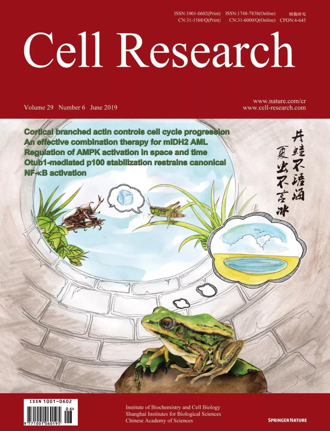 廈大林圣彩教授Cell Research封面文章：首次從“時空”的角度去探索AMPK的生理意義