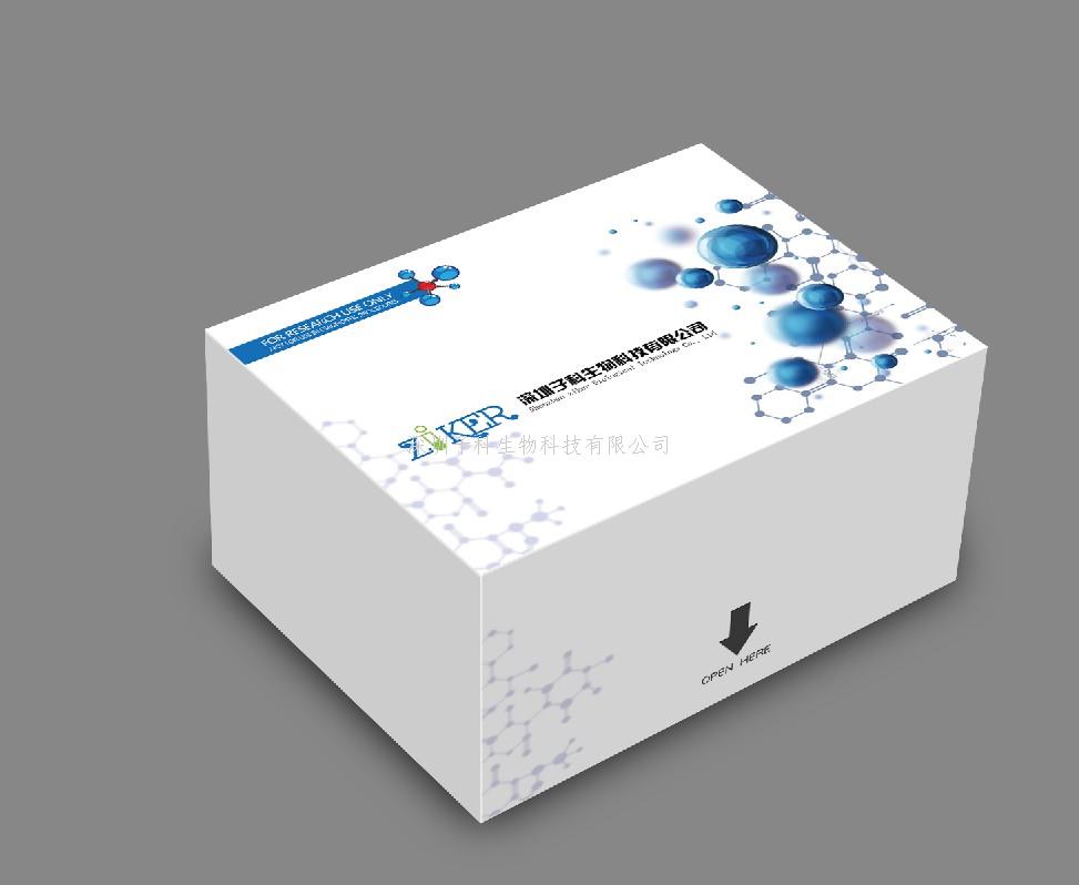 魚雌激素（E）ELISA試劑盒