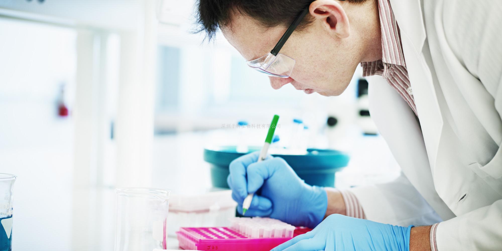 中國科大PNAS揭示NK細胞終末成熟調(diào)控新機制