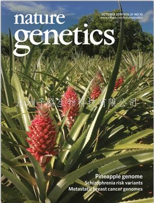 福建農(nóng)林大學(xué)發(fā)表Nature Genetics封面文章：高質(zhì)量菠蘿基因組