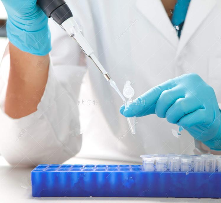 中科院學者聯(lián)合發(fā)表Science文章：首次在體外重現非人靈長類動物胚胎原腸運動的發(fā)生