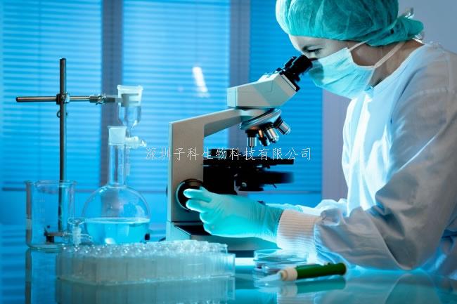 首都醫(yī)科大學(xué)EMBO J發(fā)文：組織內(nèi)應(yīng)力調(diào)控大型哺乳動(dòng)物乳恒牙替換新機(jī)制