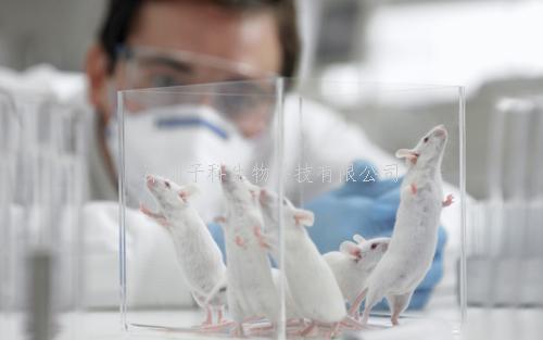 Nature Biotechnology發(fā)文指導(dǎo)Cas13的向?qū)NA設(shè)計(jì)