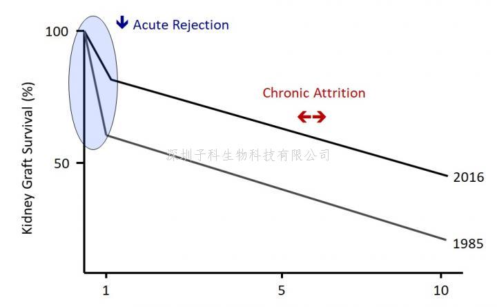 《Science》先天性免疫領域的開創(chuàng)性發(fā)現(xiàn)