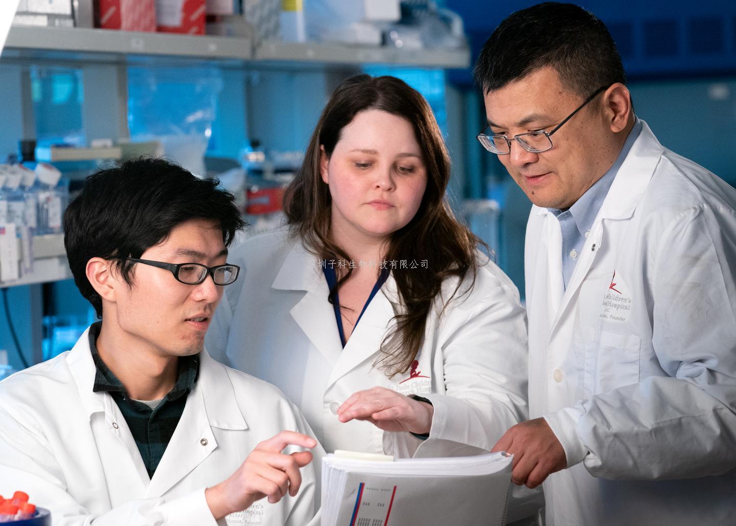 廈大學者最新EMBO文章：瘧原蟲微管骨架介導細胞極性變形的分子機制