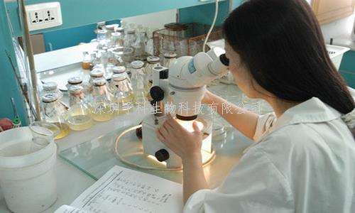 Nature Communications報道人源核糖體大亞基前體復(fù)合物結(jié)構(gòu)