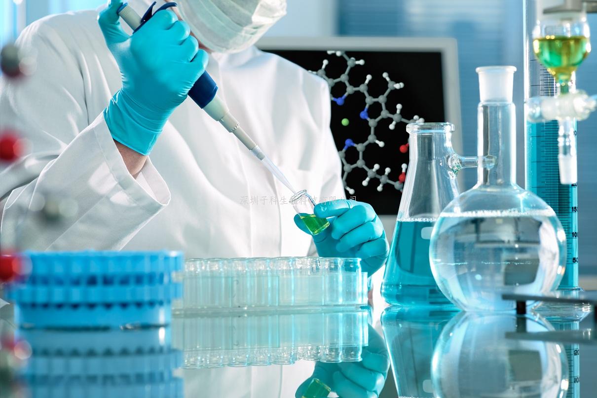 Cell Rep：首次鑒定出RNA結(jié)合蛋白LARP7是BRCA1泛素酶的底物