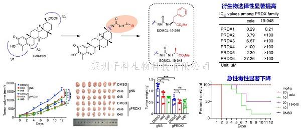 STTT | 上海藥物所合作開(kāi)發(fā)靶標(biāo)發(fā)現(xiàn)新工具并用于雷公藤紅素的靶標(biāo)發(fā)現(xiàn)