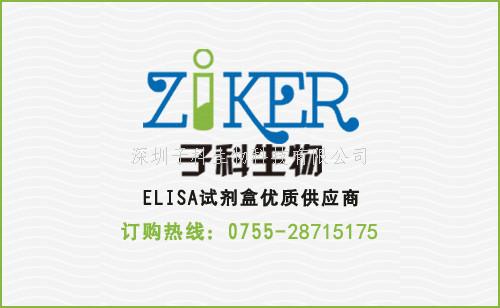 人乙型腦炎病毒IgM抗體（JEV-IgM）ELISA檢測試劑盒