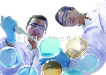 Cell找到了糖尿病的新病因！這種酶能阻止體內(nèi)產(chǎn)生胰島素