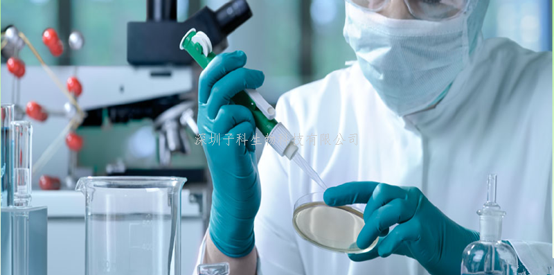 首張單細胞分辨率的人類卵巢細胞圖譜發(fā)布