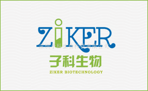 豬瘟病毒野毒株檢測(cè)試劑盒
