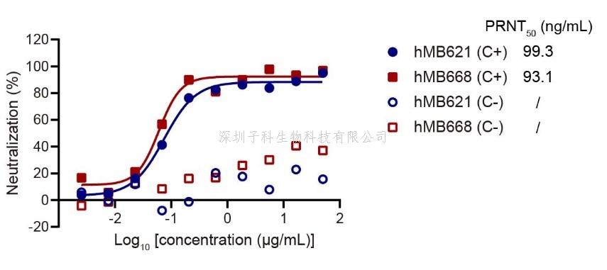 微生物所高福院士/王奇慧團(tuán)隊(duì)在猴痘病毒治療性抗體研究中取得進(jìn)展