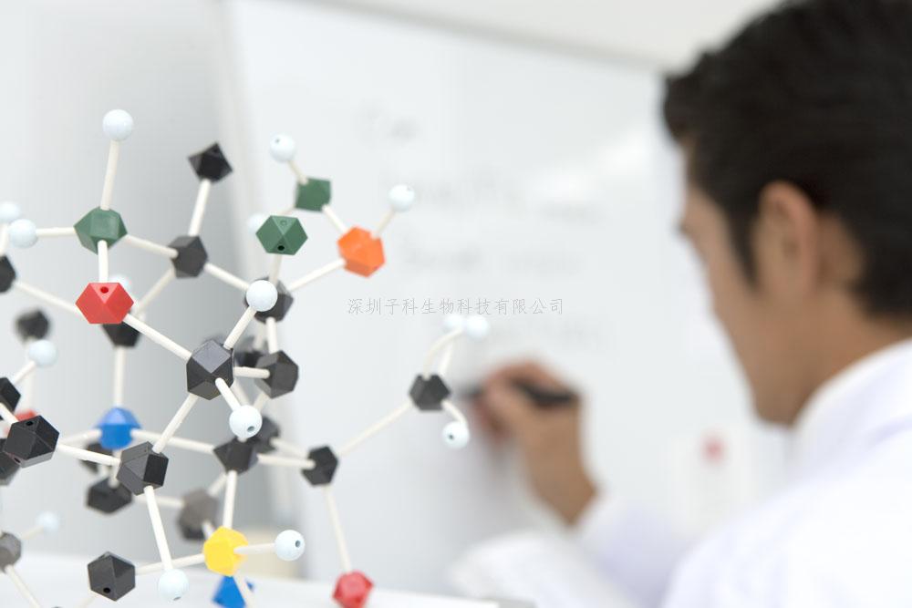 Nature Chemical Engineering：上海交大鄧楠楠課題組發(fā)現(xiàn)界面能調(diào)控人工細(xì)胞跨膜運(yùn)輸新機(jī)制