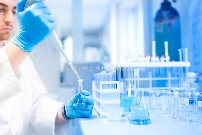 神秘的DNA結！科學家繪制i-motif綜合圖譜