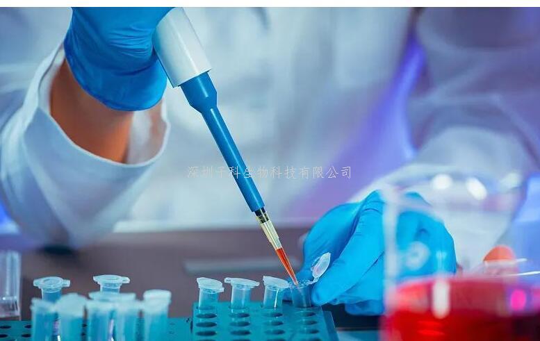 DNA 甲基轉(zhuǎn)移酶 1 調(diào)控線粒體功能的新機制：連接 m5C RNA 甲基化的關(guān)鍵作用